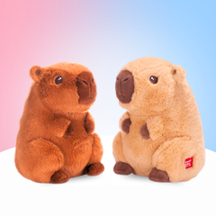 Special Bundle Capybara - FREUDEBOX