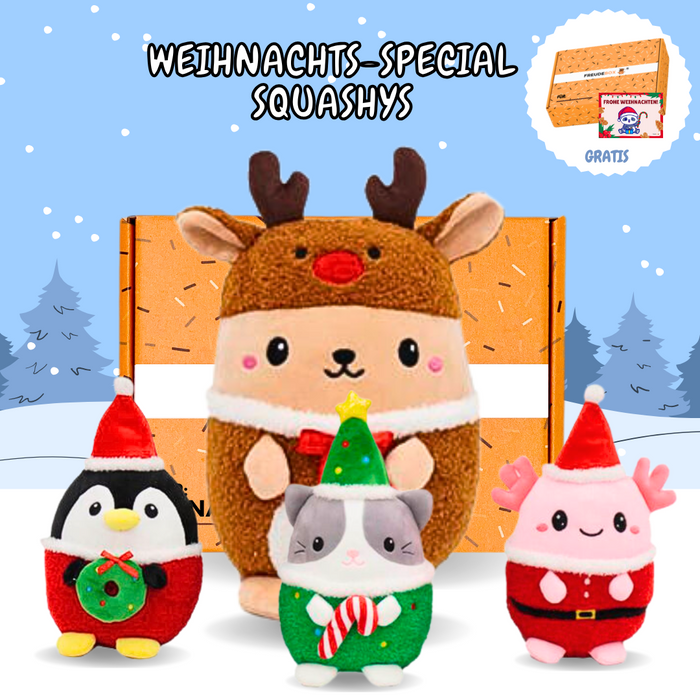 Weihnachts-Special SQUASHYS - FREUDEBOX