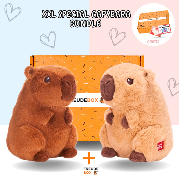 Special Bundle Capybara - FREUDEBOX