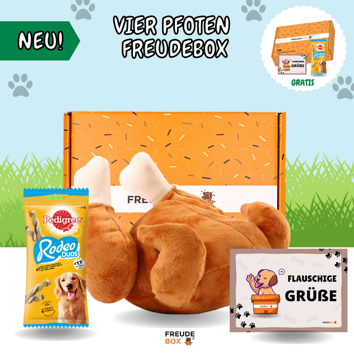 Vier Pfoten FREUDEBOX®