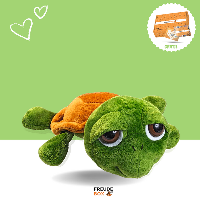 Samuel die Schildkröte