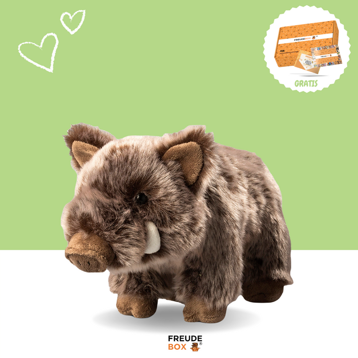 Wilma das Wildschwein