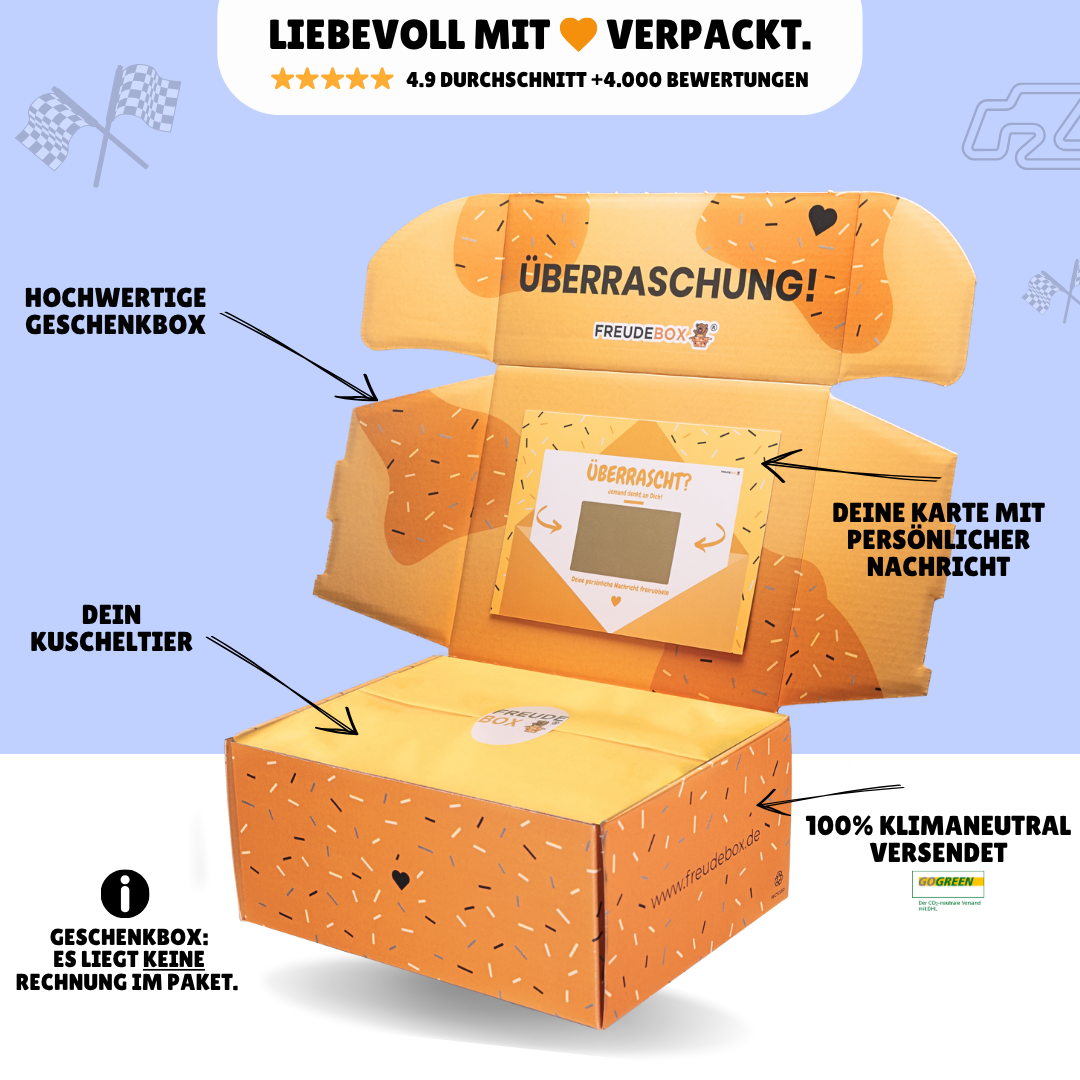 Roter Pilz (Mario Kart) - FREUDEBOX®