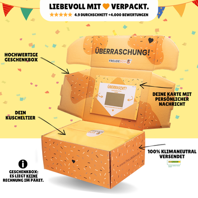 Geburtstagstorte Squashy - FREUDEBOX