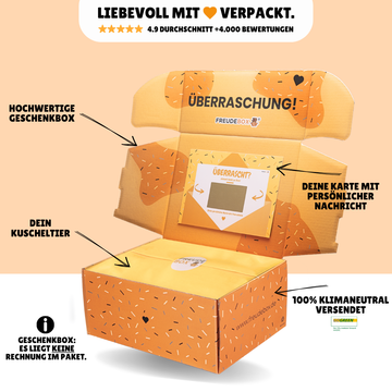 Hase mit Karotte - FREUDEBOX