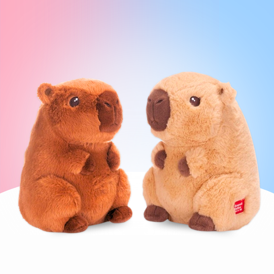 Special Bundle Capybara - FREUDEBOX