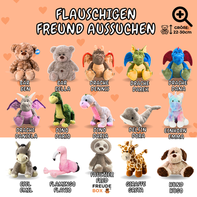 Bester Bruder FREUDEBOX