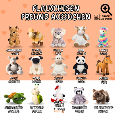 Bester Bruder FREUDEBOX