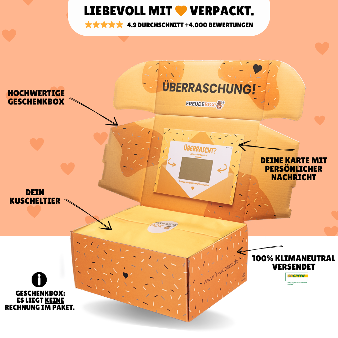 Bester Bruder FREUDEBOX