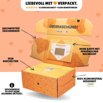 Bester Bruder FREUDEBOX
