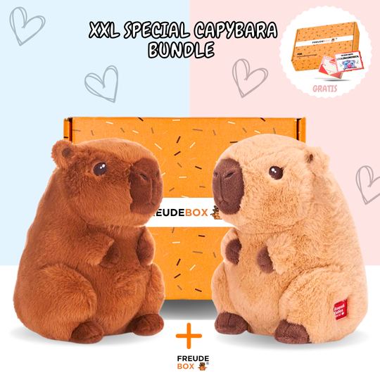 Special Bundle Capybara - FREUDEBOX