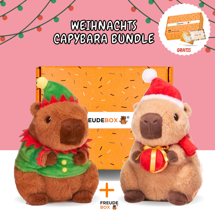 Weihnachts Capybara Bundle  - FREUDEBOX