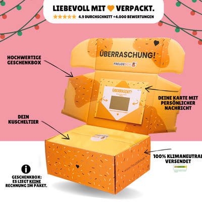 Weihnachts Capybara Bundle  - FREUDEBOX