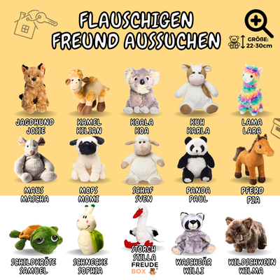 Einzug FREUDEBOX