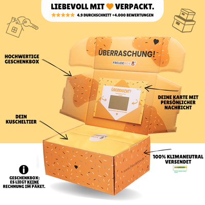Einzug FREUDEBOX