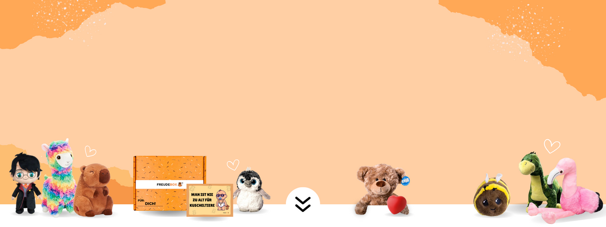 FREUDEBOX Geschenkboxen mit Kuscheltier und Grußkarten