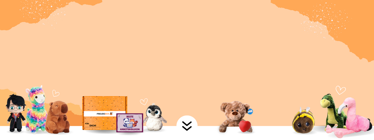 FREUDEBOX Geschenkboxen mit Kuscheltier und Grußkarten