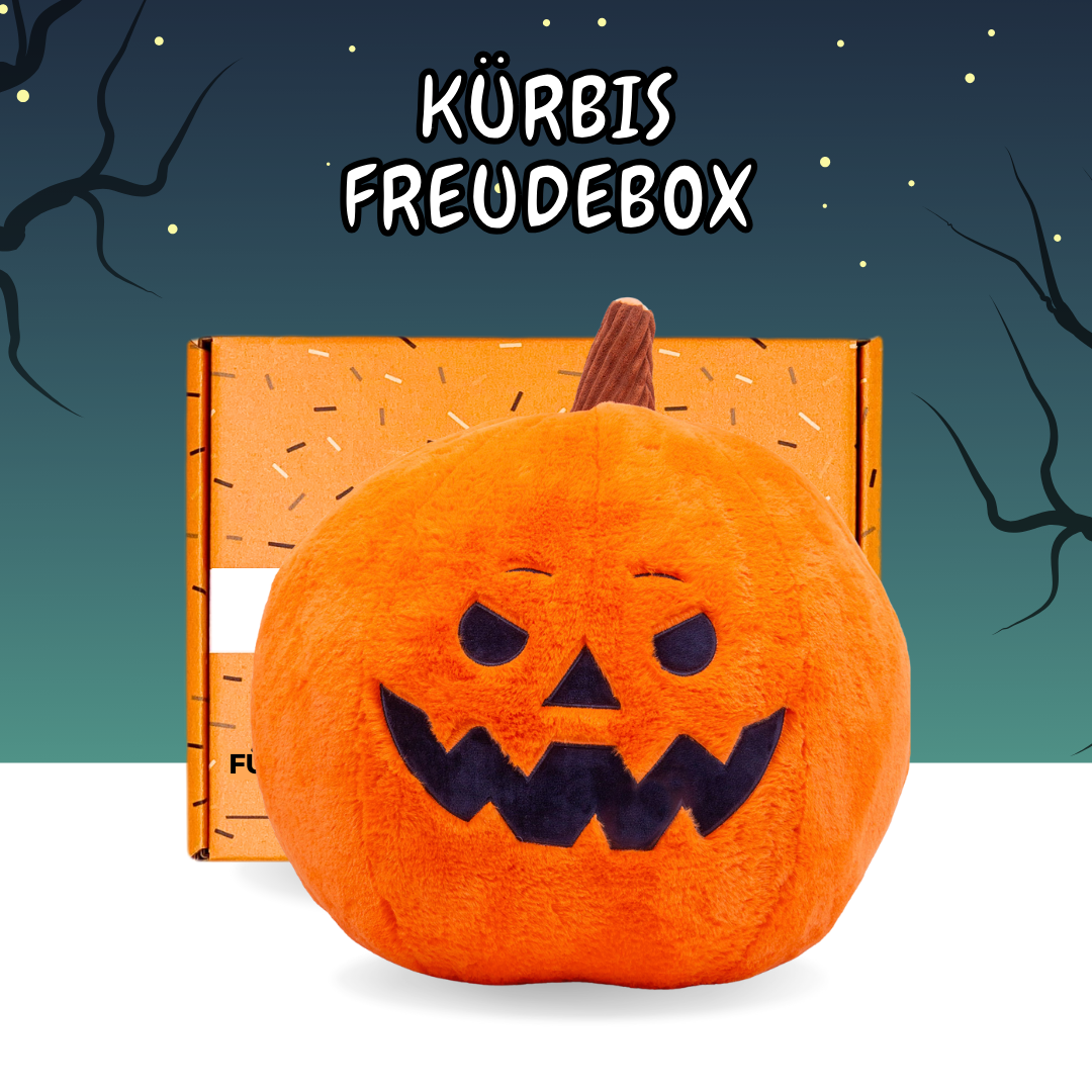 Kürbis - FREUDEBOX