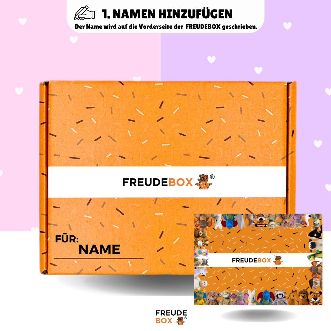 Special Bundle Kuromi - FREUDEBOX