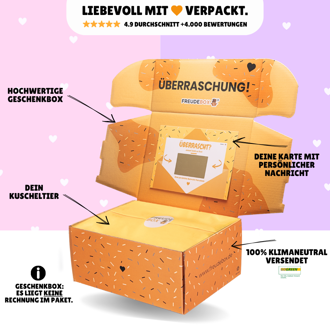 Special Bundle Kuromi - FREUDEBOX