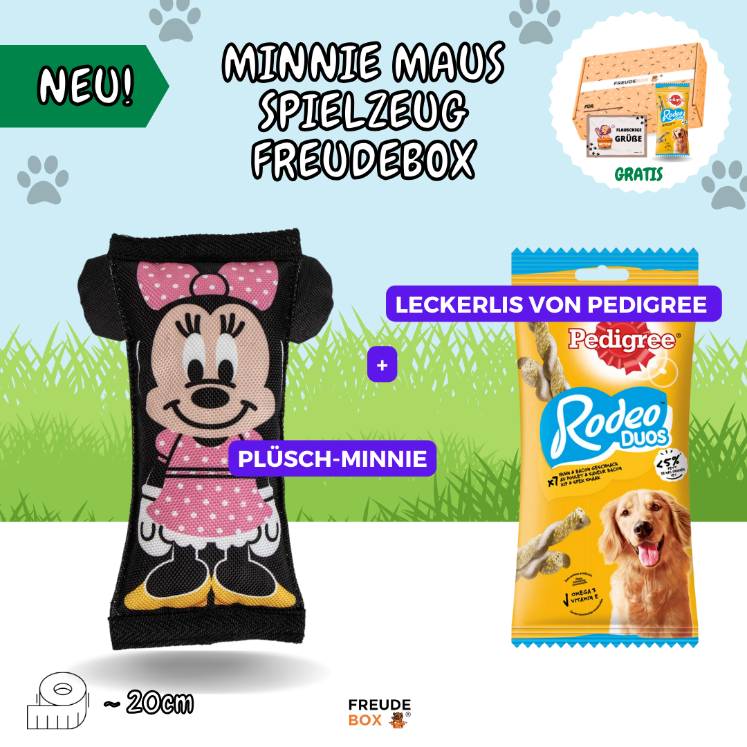 Minnie Maus Hundespielzeug FREUDEBOX