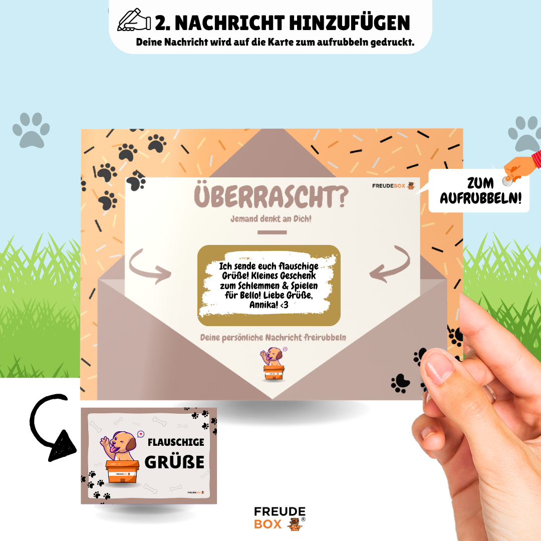 Stitch Hundespielzeug FREUDEBOX