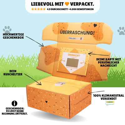Stitch Hundespielzeug FREUDEBOX