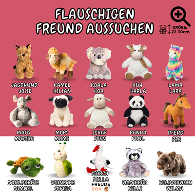 Neuer Job FREUDEBOX