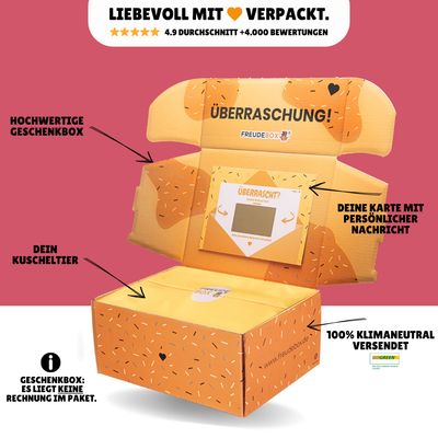 Neuer Job FREUDEBOX