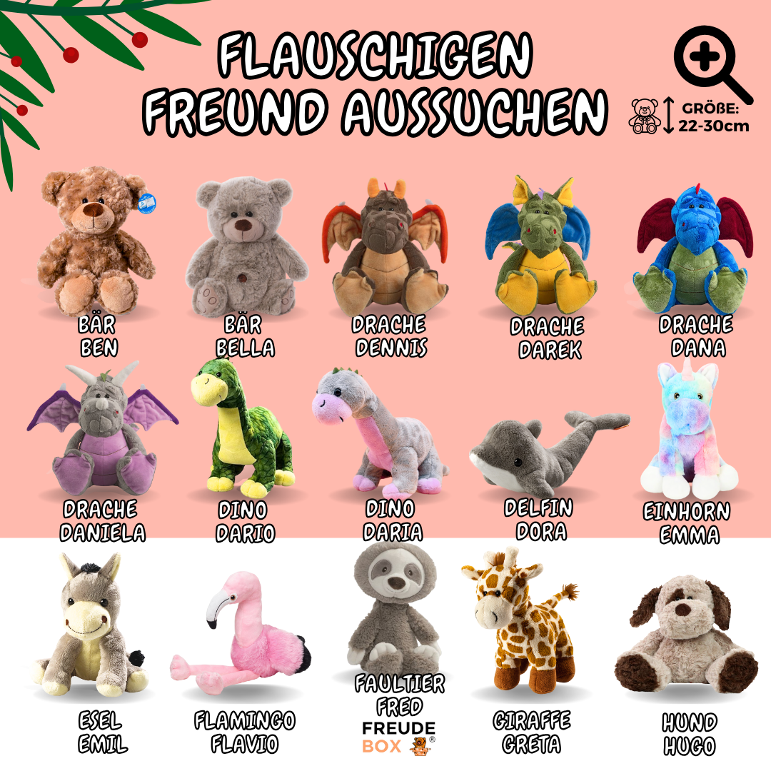 Nikolaus-Special FREUDEBOX