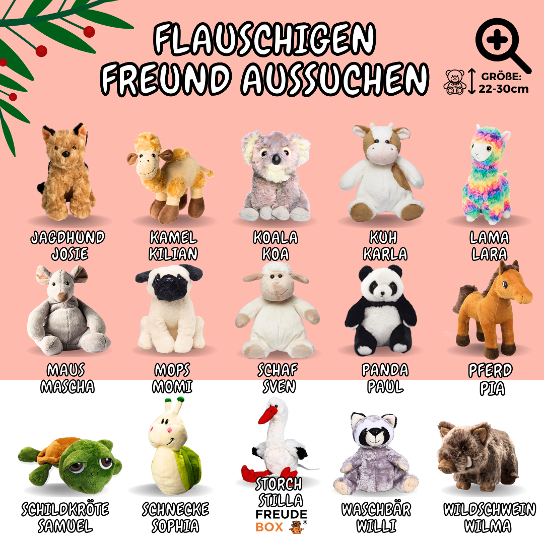 Nikolaus-Special FREUDEBOX