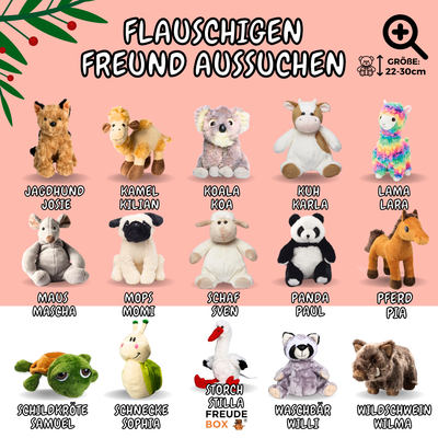 Nikolaus-Special FREUDEBOX