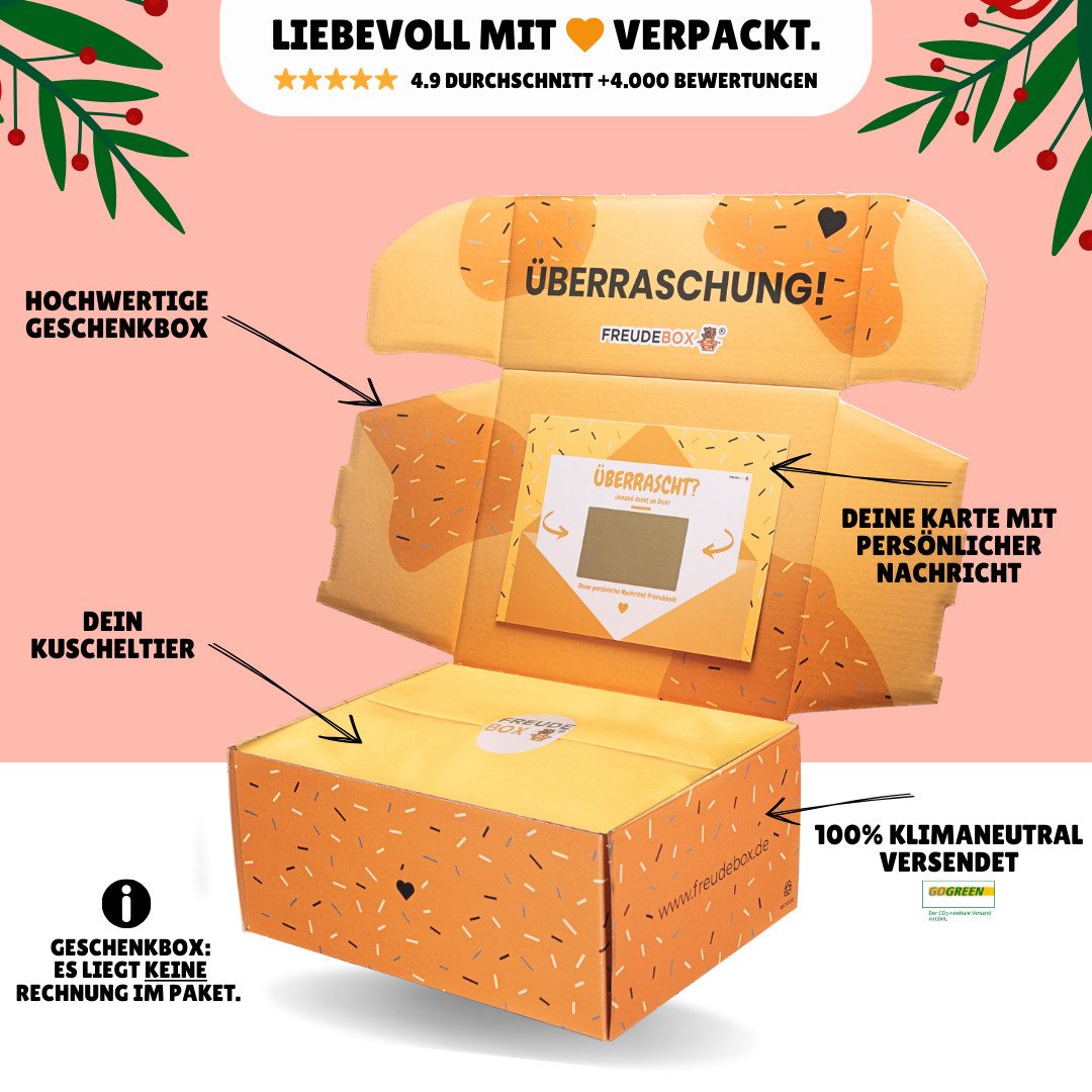 Nikolaus-Special FREUDEBOX