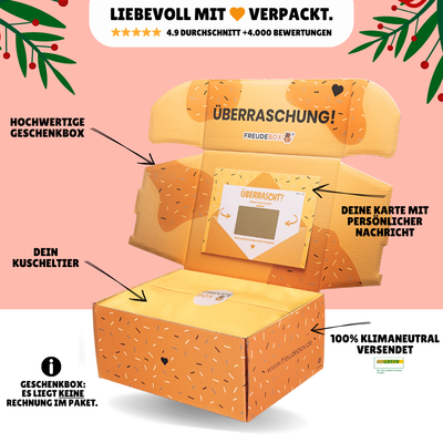 Nikolaus-Special FREUDEBOX