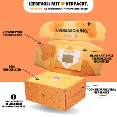 Pepe die Pizza - FREUDEBOX