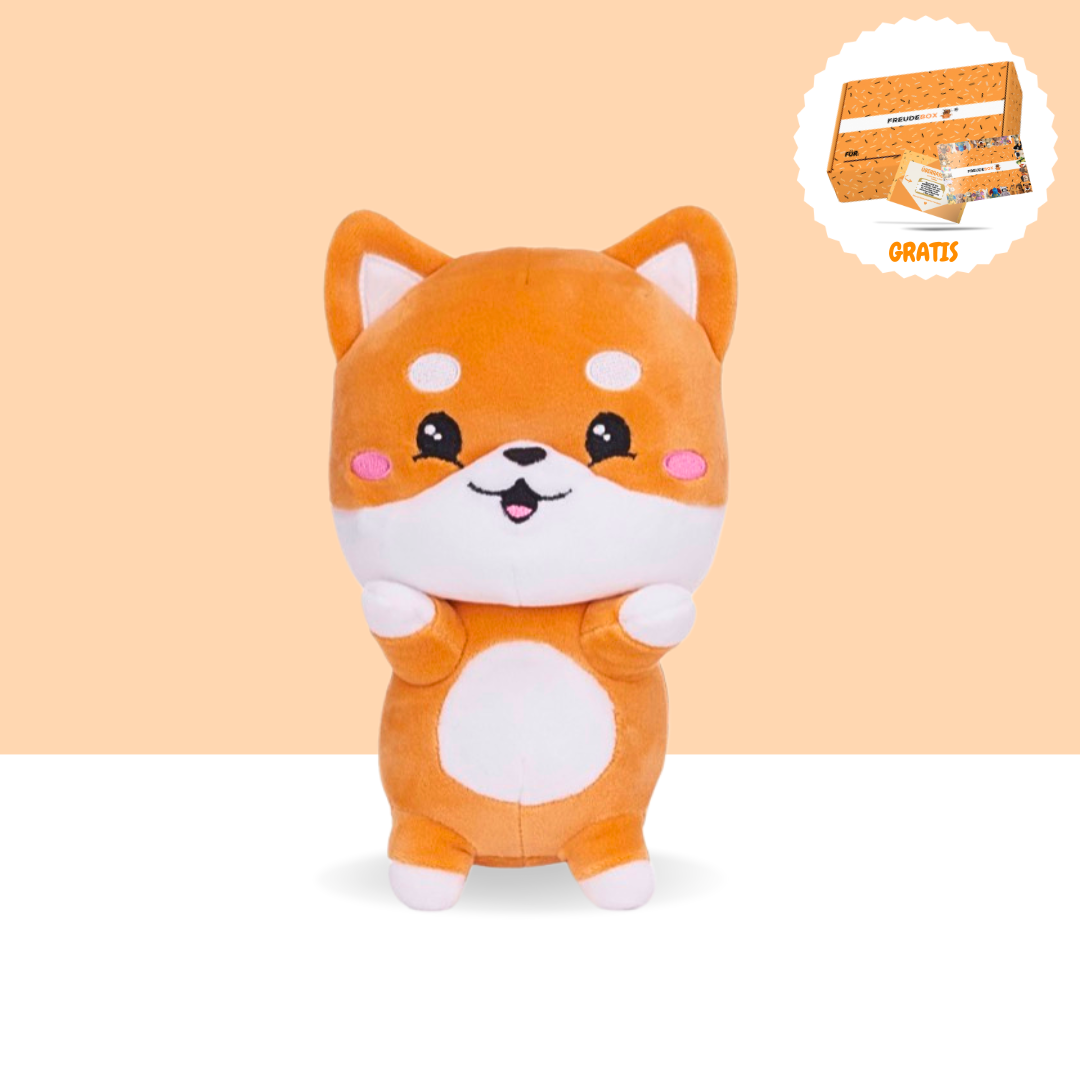 Shiba Inu mit Knochen - FREUDEBOX
