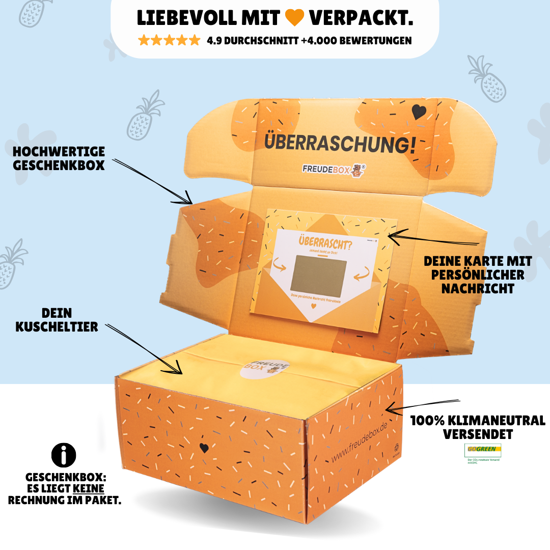 Spongebob & Patrick Bundle - FREUDEBOX®