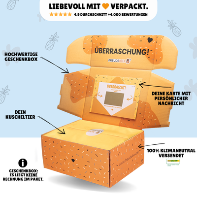 Spongebob & Patrick Bundle - FREUDEBOX®