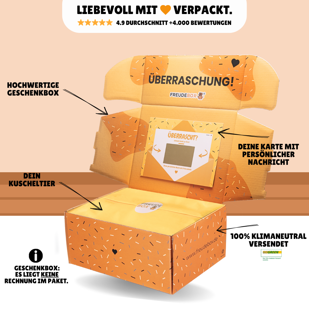 Staatsexamen FREUDEBOX