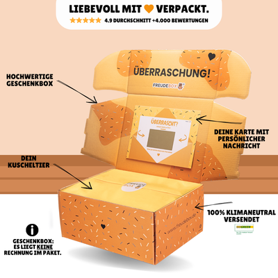 Staatsexamen FREUDEBOX