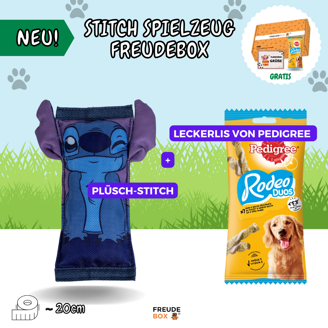 Stitch Hundespielzeug FREUDEBOX