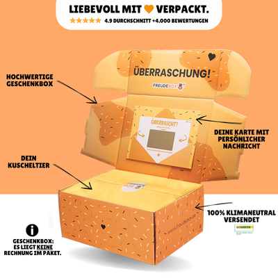 Winnie Puuh Squashy FREUDEBOX