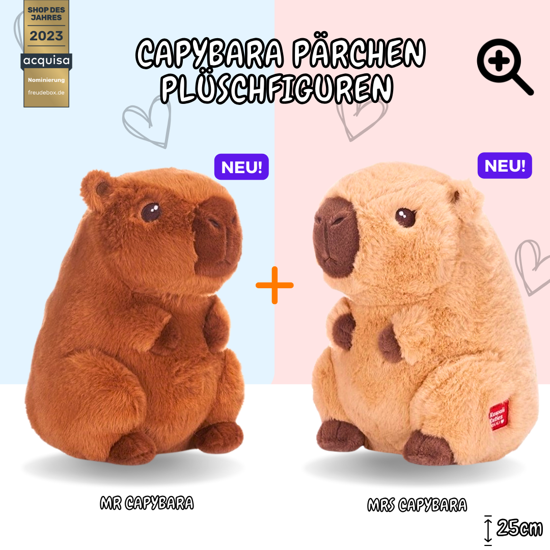 Special Bundle Capybara - FREUDEBOX