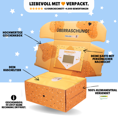 Cinnamoroll (Hello Kitty) - FREUDEBOX