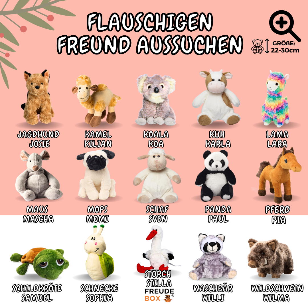 Weihnachts-Special FREUDEBOX