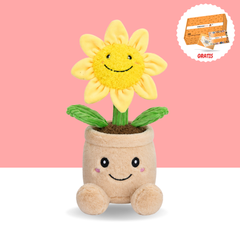 Sarah die Sonnenblume