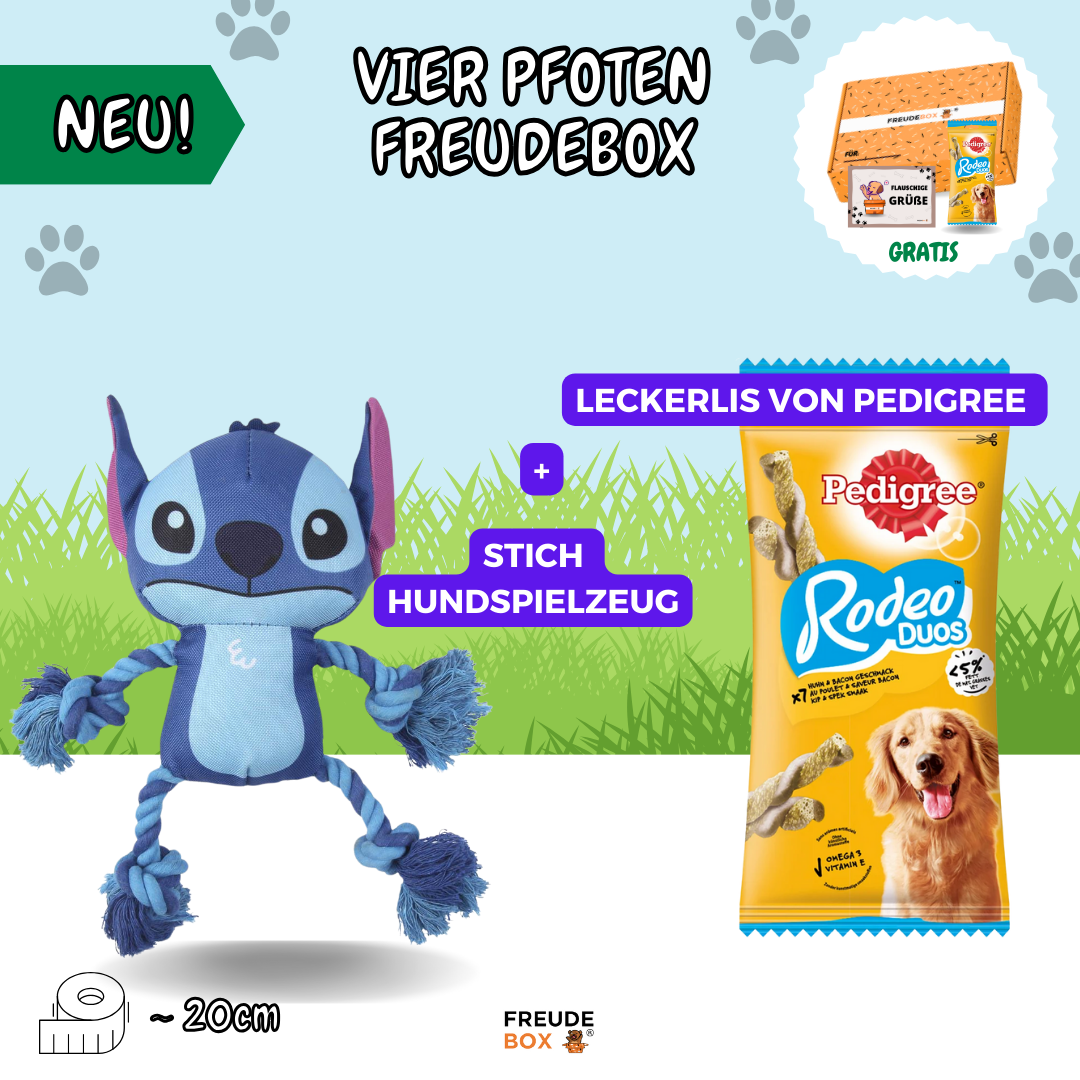 Vier Pfoten Stitch FREUDEBOX