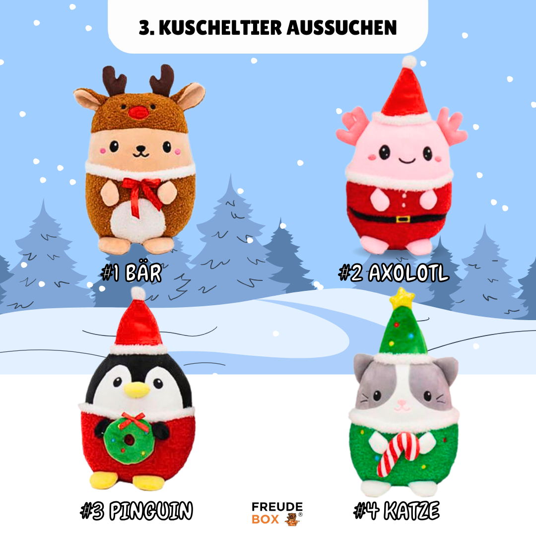 Weihnachts-Special SQUASHYS - FREUDEBOX
