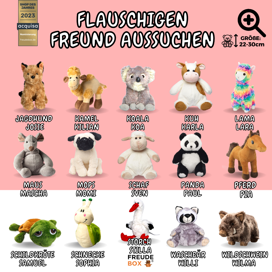 Weihnachtszeit Special Box