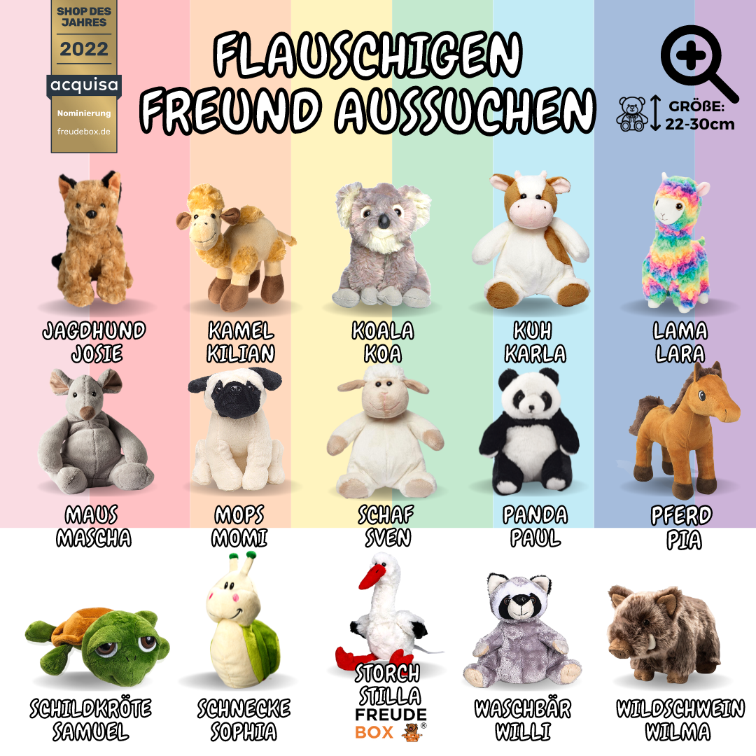 Bunte FREUDEBOX®